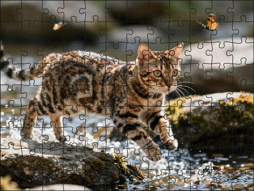 Fotopuzzel Bengaalse kat in het water | Liggend - Stukjes Geluk