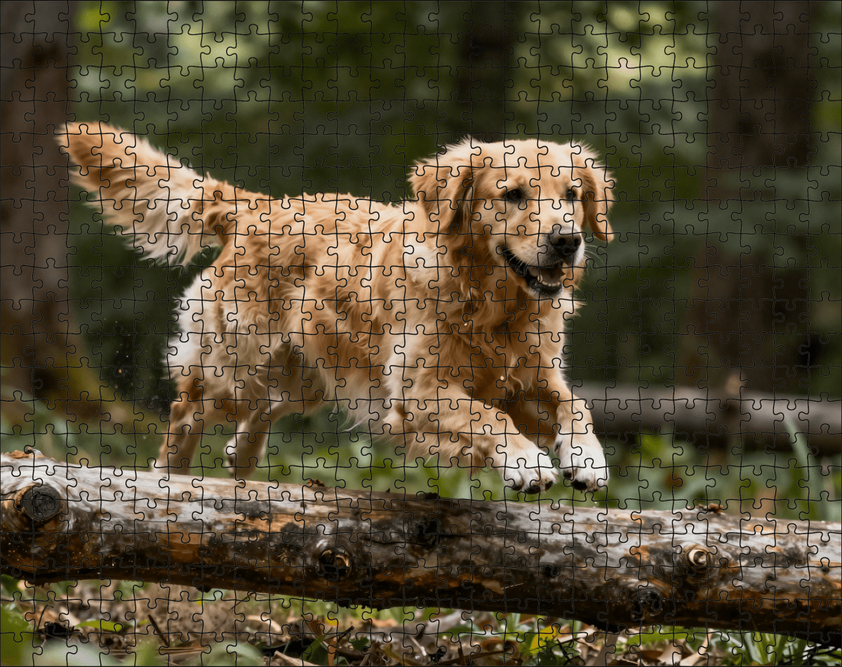 Fotopuzzel Golden Retriever in het bos | Liggend - Stukjes Geluk