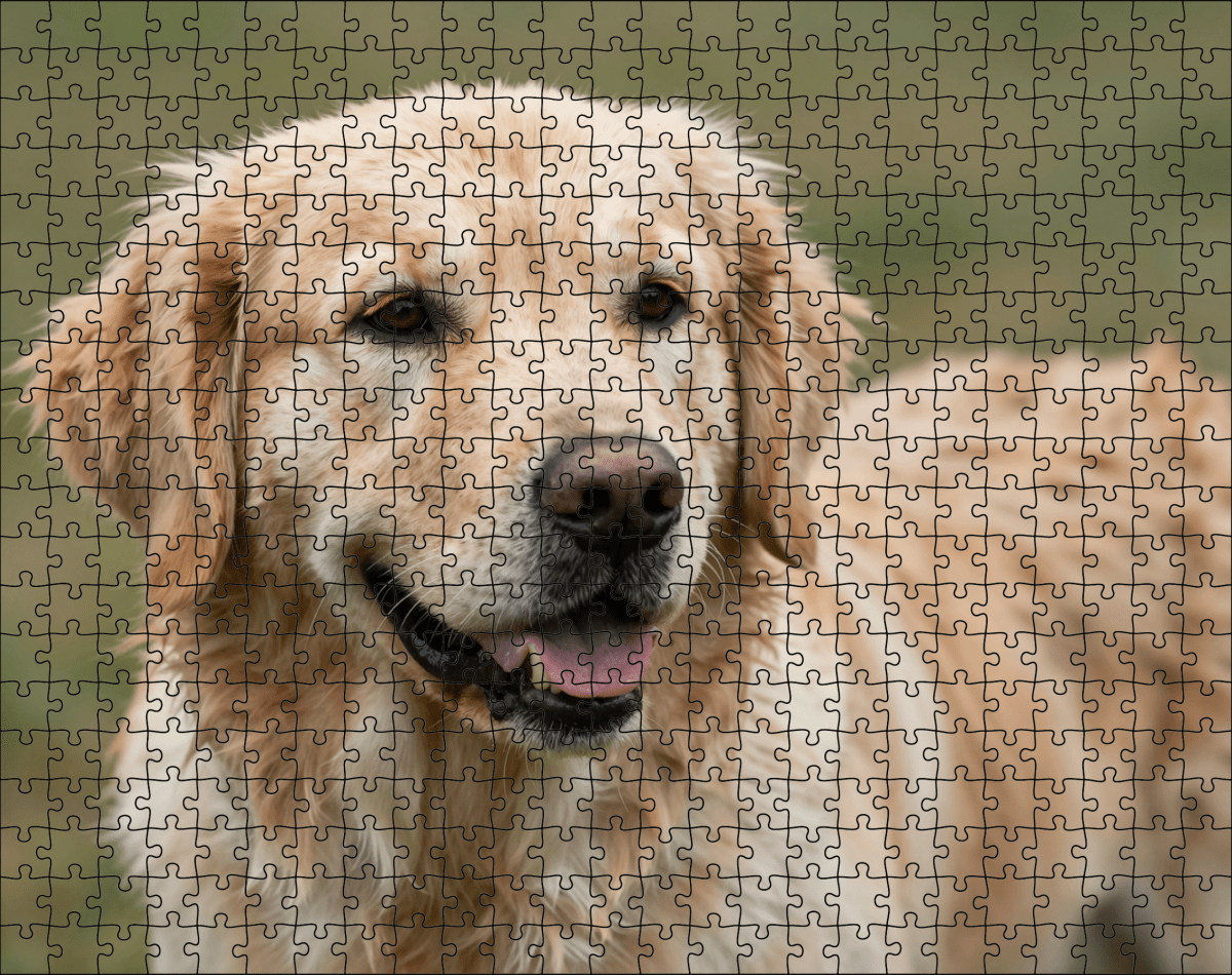 Fotopuzzel Golden Retriever | Portretfoto | Liggend - Stukjes Geluk