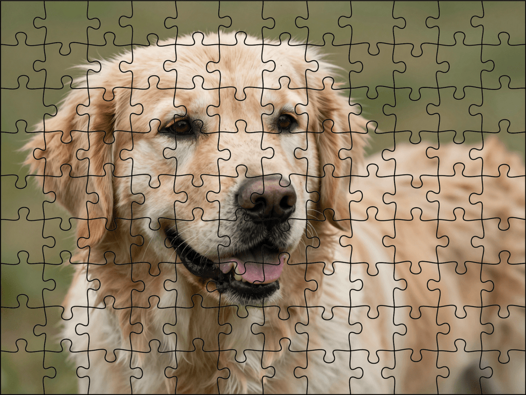 Fotopuzzel Golden Retriever | Portretfoto | Liggend - Stukjes Geluk