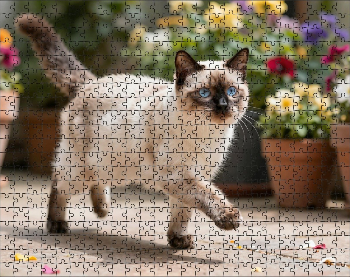 Fotopuzzel Heilige Birmaan in de tuin | Liggend - Stukjes Geluk