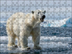 Fotopuzzel Ijsbeer 'Arctic Ocean Charge' | Liggend - Stukjes Geluk