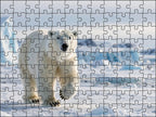 Fotopuzzel Ijsbeer 'Ice Sprint' | Liggend - Stukjes Geluk