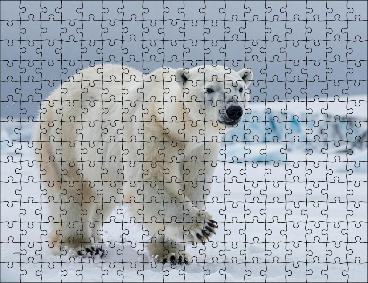 Fotopuzzel Ijsbeer 'Snowstorm Hunter' | Liggend - Stukjes Geluk