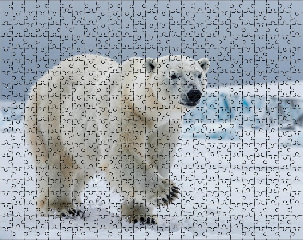 Fotopuzzel Ijsbeer 'Snowstorm Hunter' | Liggend - Stukjes Geluk