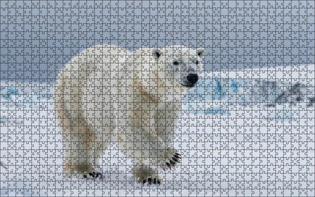 Fotopuzzel Ijsbeer 'Snowstorm Hunter' | Liggend - Stukjes Geluk