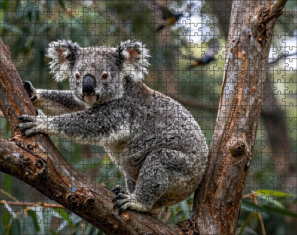 Fotopuzzel Koala 'Forest Leap' | Liggend - Stukjes Geluk