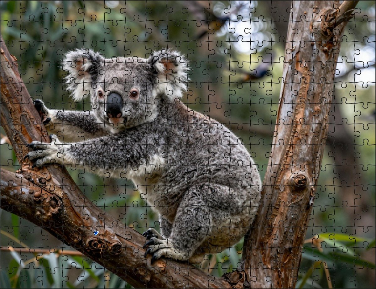 Fotopuzzel Koala 'Forest Leap' | Liggend - Stukjes Geluk