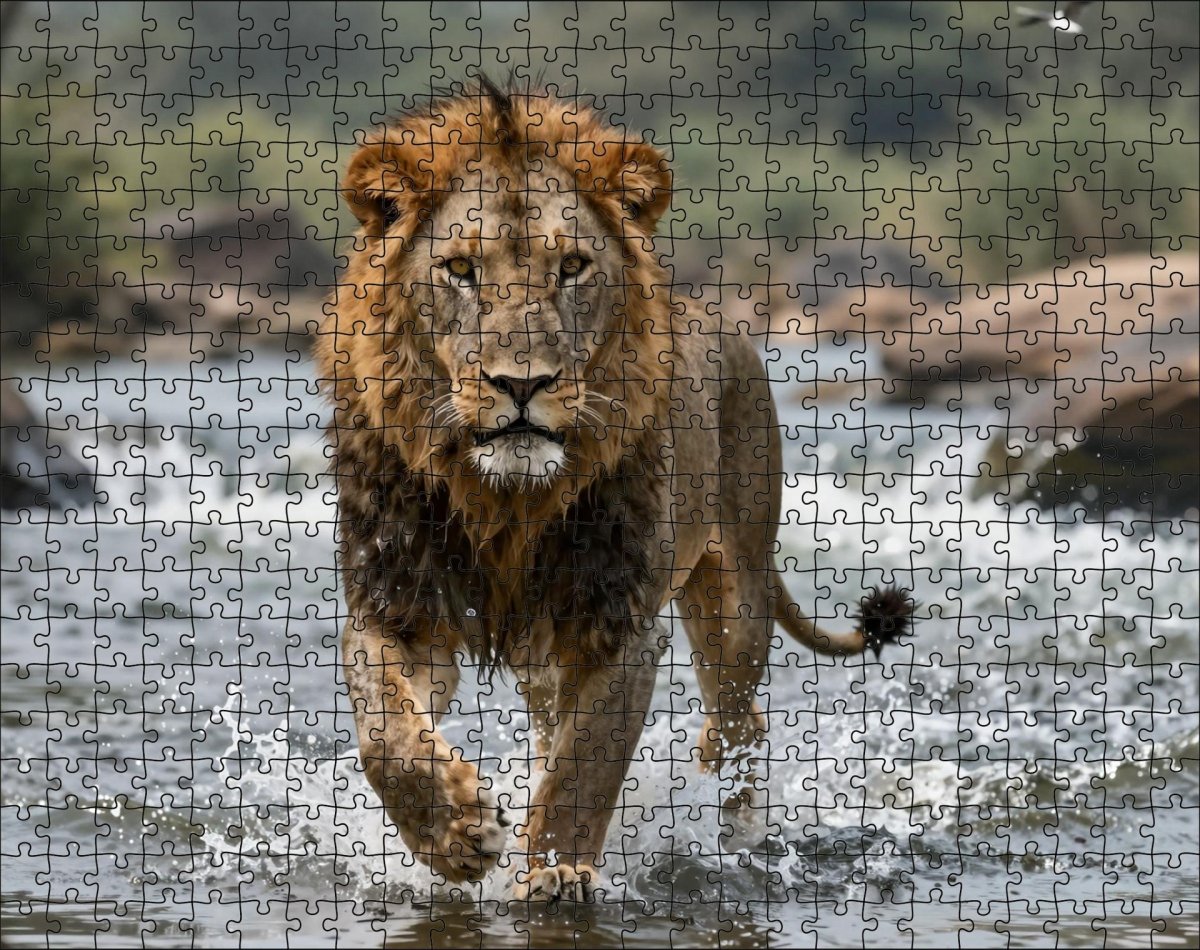 Fotopuzzel Leeuw 'River Crossing' | Liggend - Stukjes Geluk