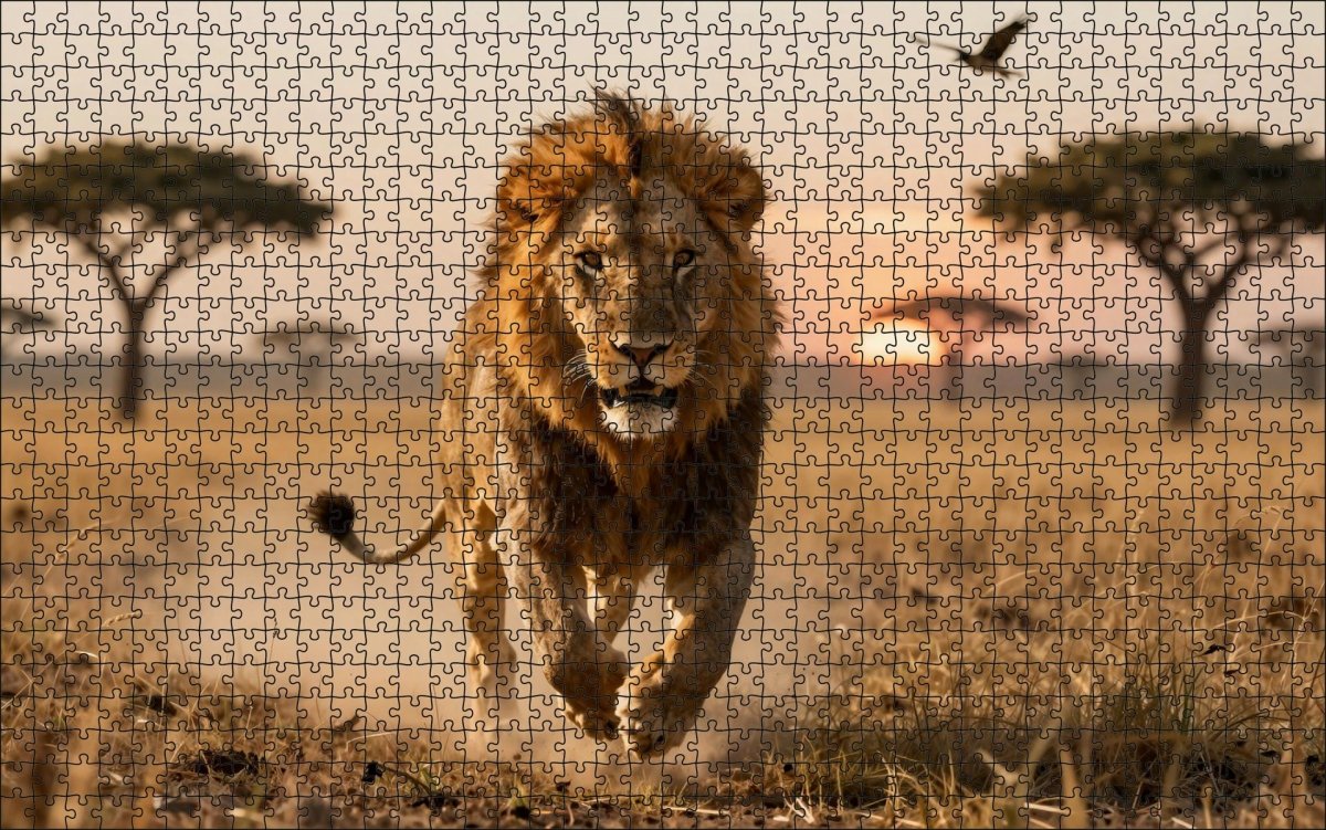 Fotopuzzel Leeuw 'Savanna Charge' | Liggend - Stukjes Geluk