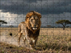 Fotopuzzel Leeuw 'Storm King' | Liggend - Stukjes Geluk