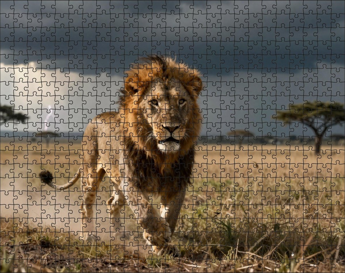 Fotopuzzel Leeuw 'Storm King' | Liggend - Stukjes Geluk