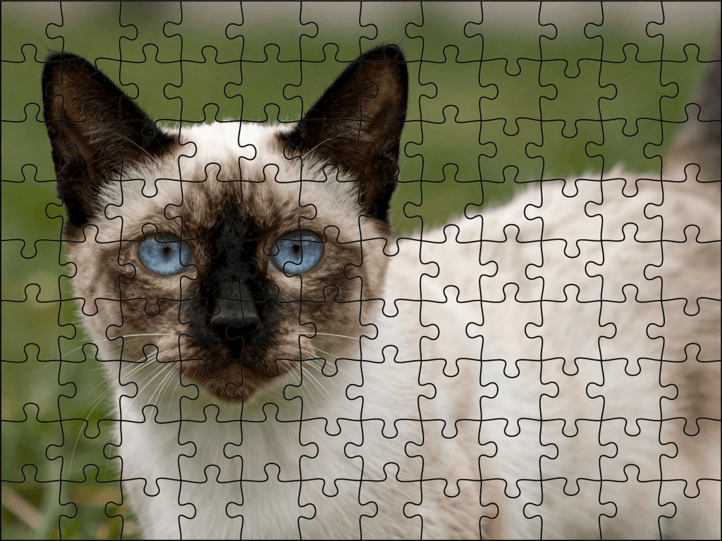 Fotopuzzel Noorse Boskat | Portretfoto | Liggend - Stukjes Geluk