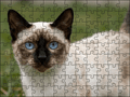 Fotopuzzel Noorse Boskat | Portretfoto | Liggend - Stukjes Geluk