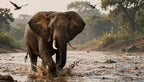 Fotopuzzel Olifant 'River Stampede' | Liggend - Stukjes Geluk
