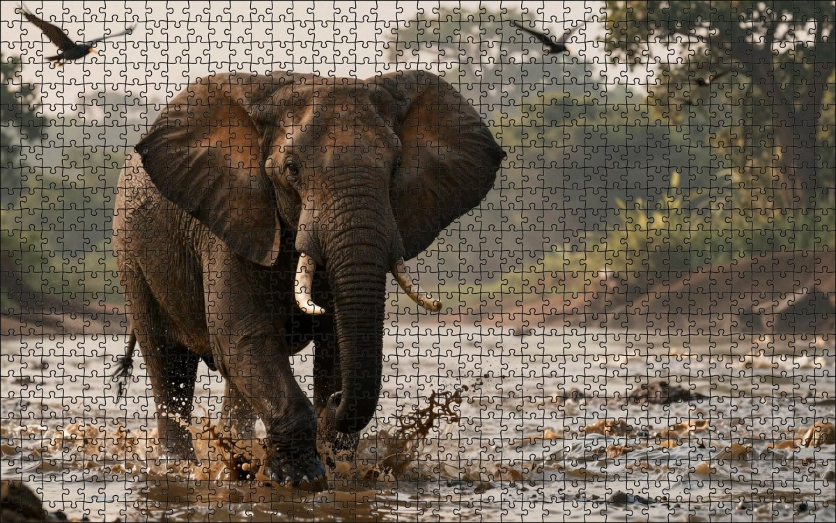 Fotopuzzel Olifant 'River Stampede' | Liggend - Stukjes Geluk