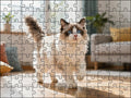 Fotopuzzel Ragdoll in de woonkamer | Liggend - Stukjes Geluk
