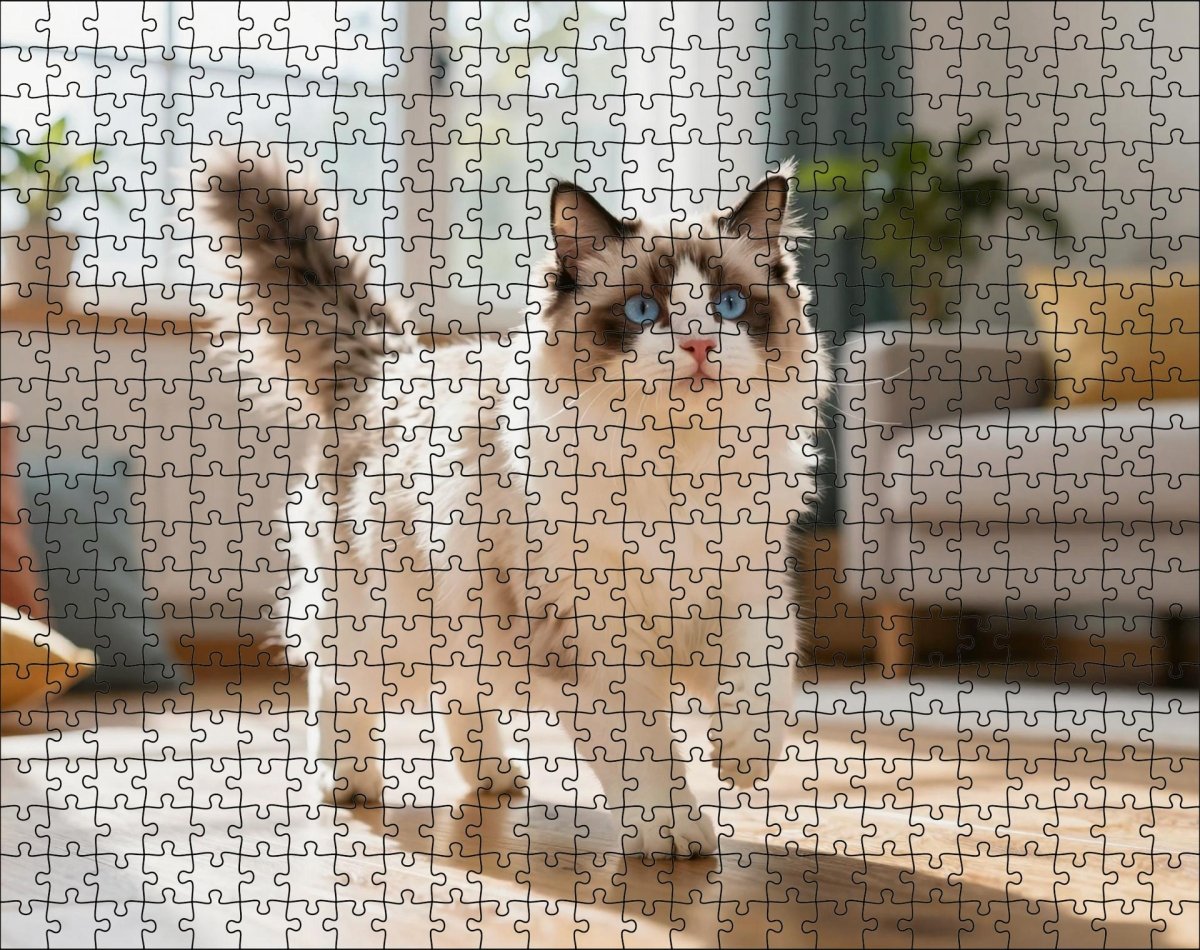 Fotopuzzel Ragdoll in de woonkamer | Liggend - Stukjes Geluk