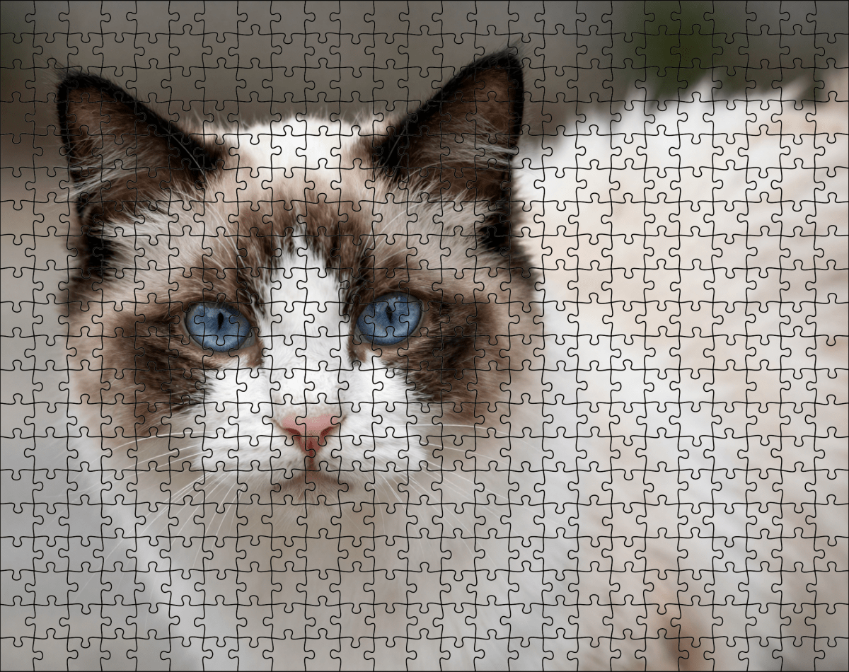 Fotopuzzel Ragdoll | Portretfoto | Liggend - Stukjes Geluk