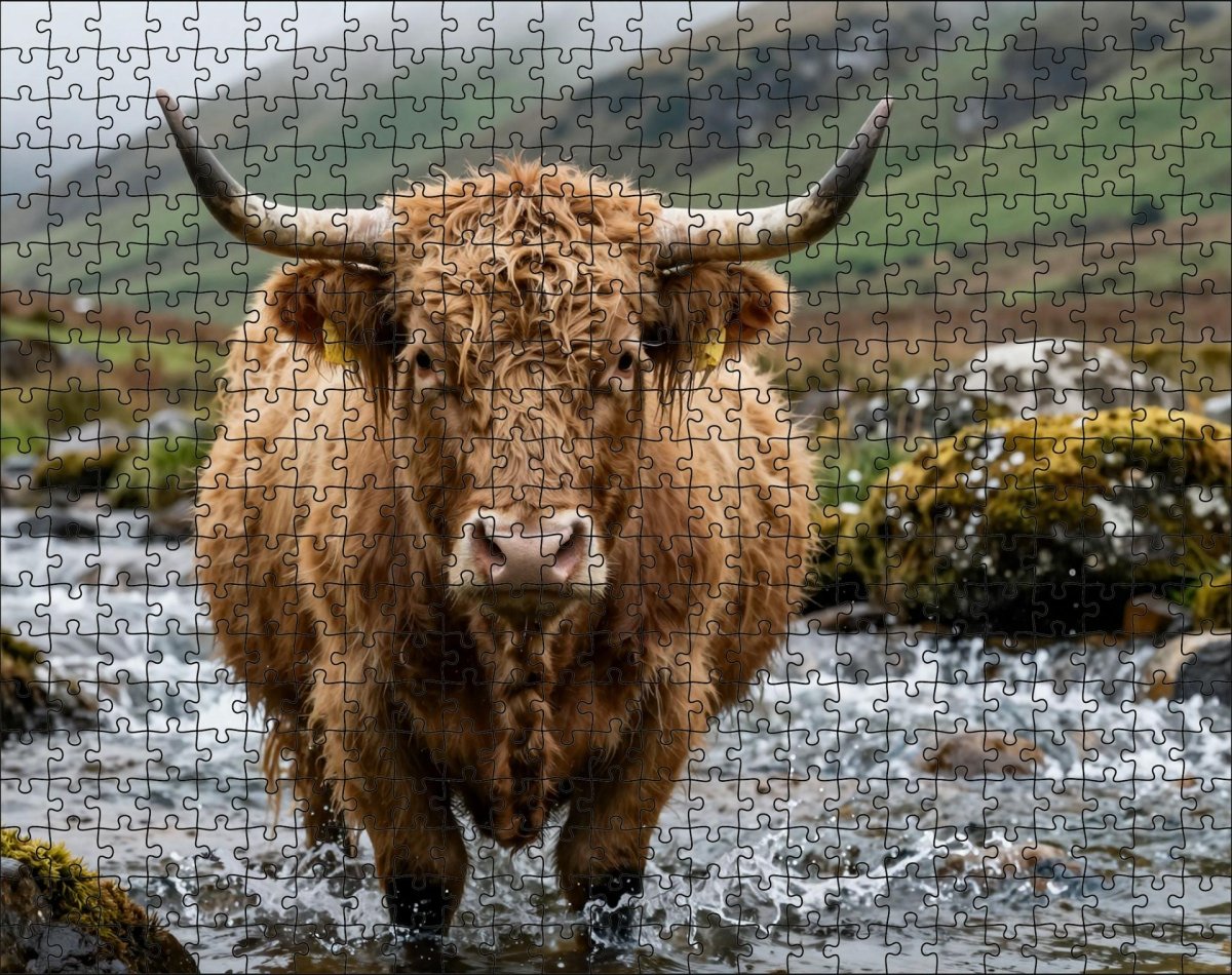 Fotopuzzel Schotse Hooglander 'River Crossing' | Liggend - Stukjes Geluk