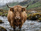 Fotopuzzel Schotse Hooglander 'River Crossing' | Liggend - Stukjes Geluk