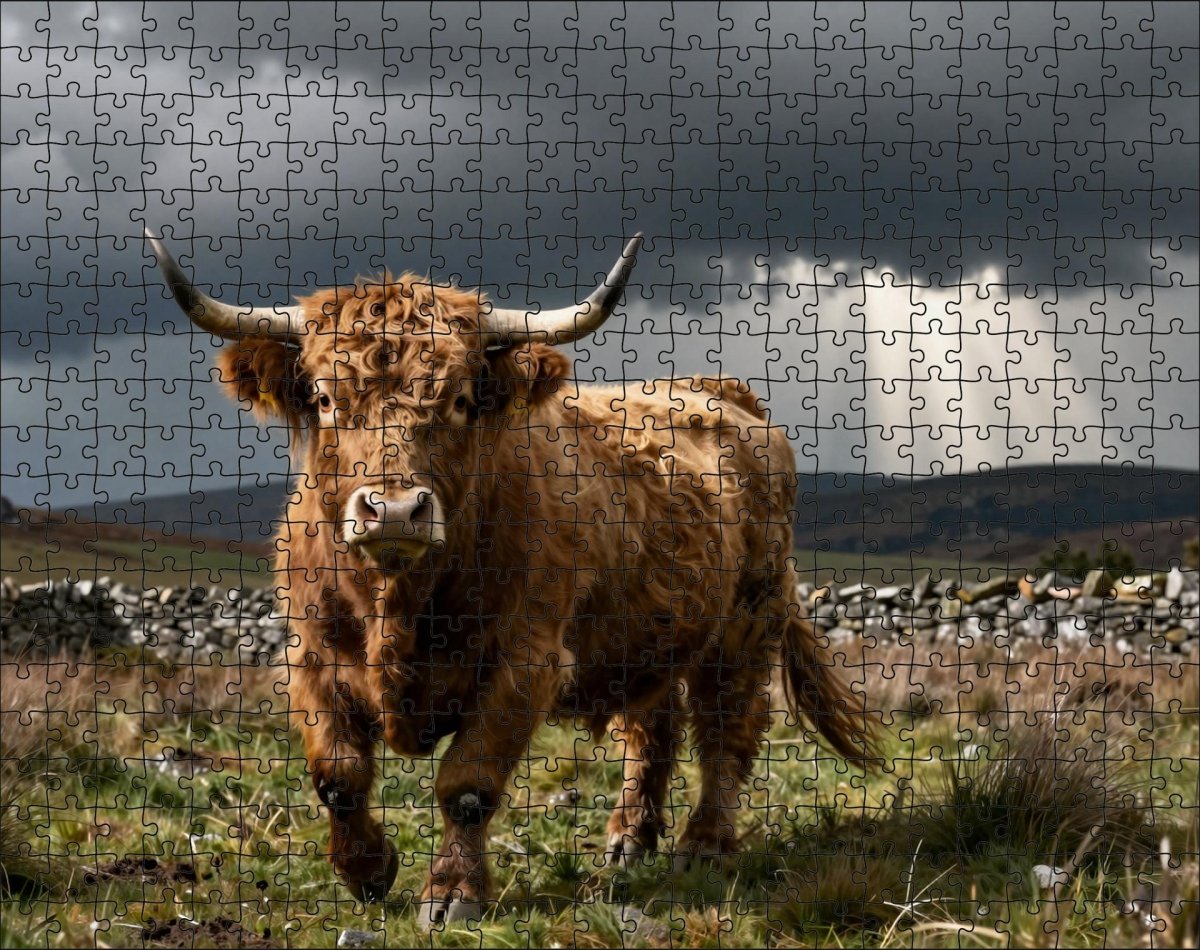 Fotopuzzel Schotse Hooglander 'Stormy Highlands' | Liggend - Stukjes Geluk