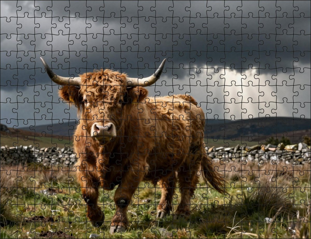 Fotopuzzel Schotse Hooglander 'Stormy Highlands' | Liggend - Stukjes Geluk