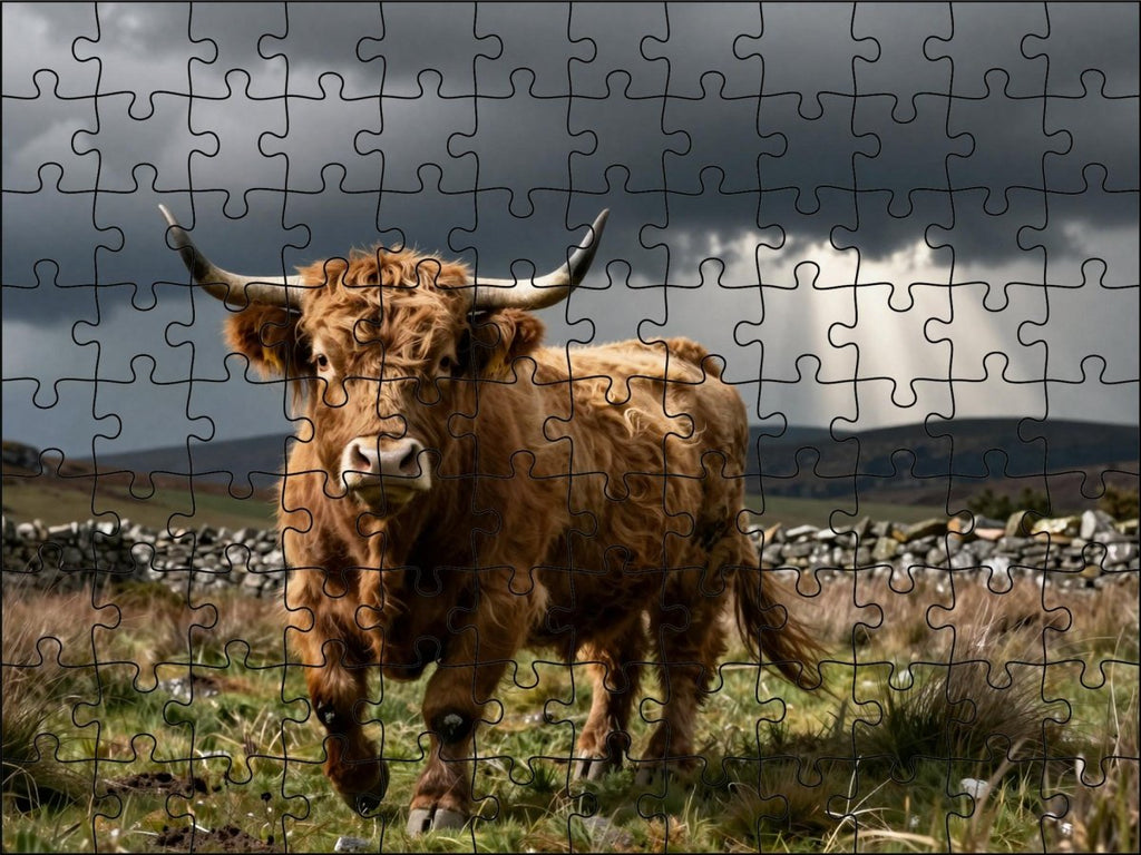 Fotopuzzel Schotse Hooglander 'Stormy Highlands' | Liggend - Stukjes Geluk