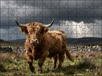 Fotopuzzel Schotse Hooglander 'Stormy Highlands' | Liggend - Stukjes Geluk