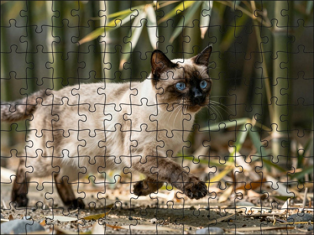 Fotopuzzel Siamese kat in het bamboepark | Liggend - Stukjes Geluk