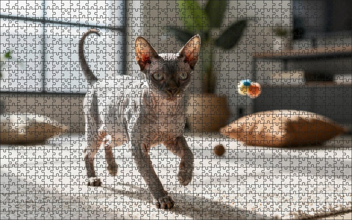 Fotopuzzel springende Sphinx | Liggend - Stukjes Geluk