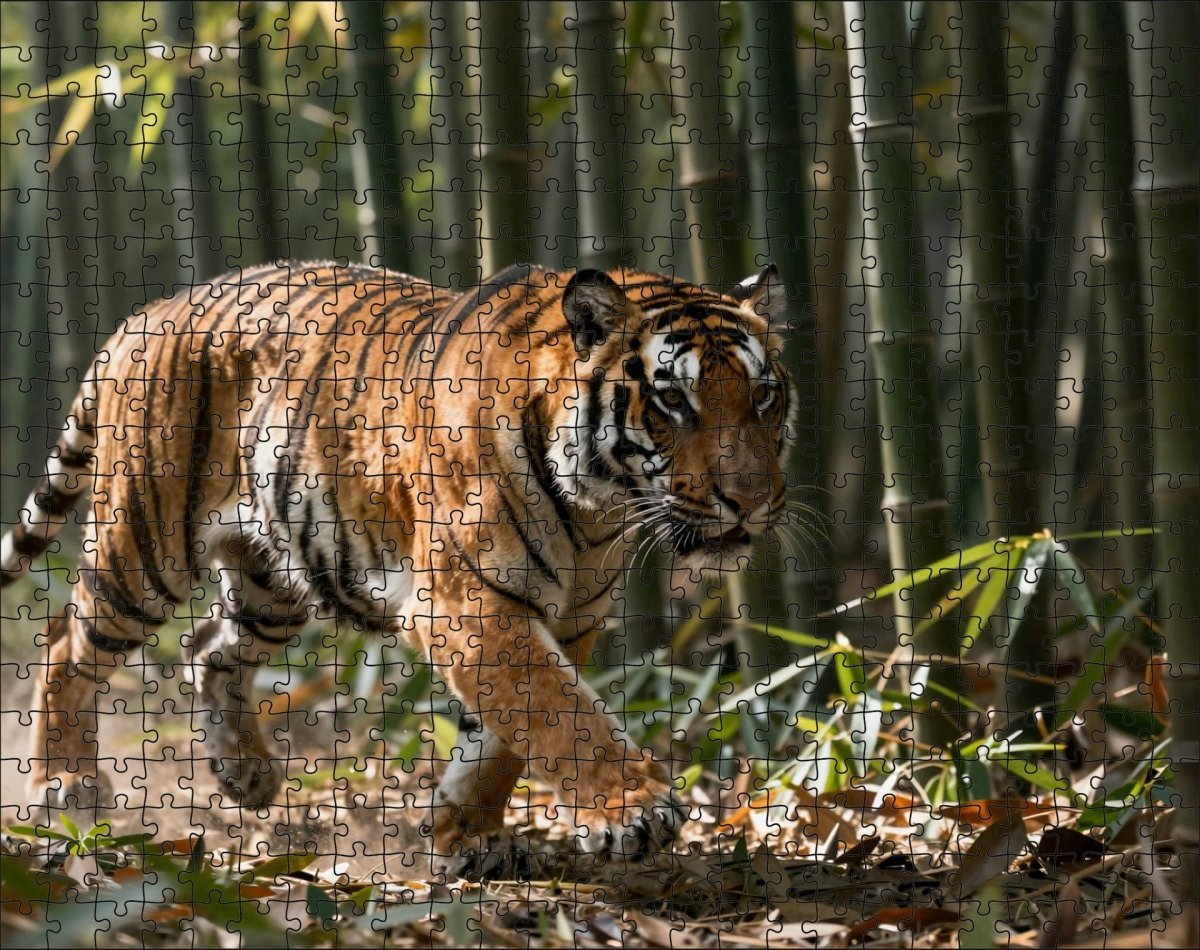 Fotopuzzel tijger 'Bamboo Forest Stalk' | Liggend - Stukjes Geluk