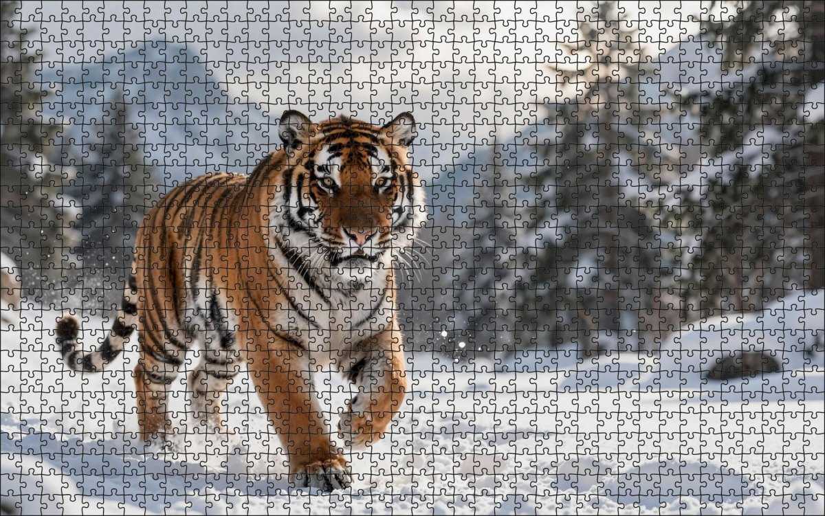 Fotopuzzel tijger 'Snowy Mountain Charge' | Liggend - Stukjes Geluk