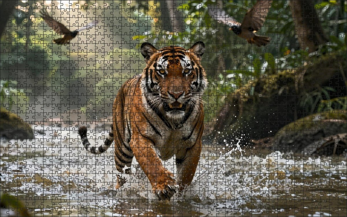 Fotopuzzel tijger 'Through Water and Fury' | Liggend - Stukjes Geluk