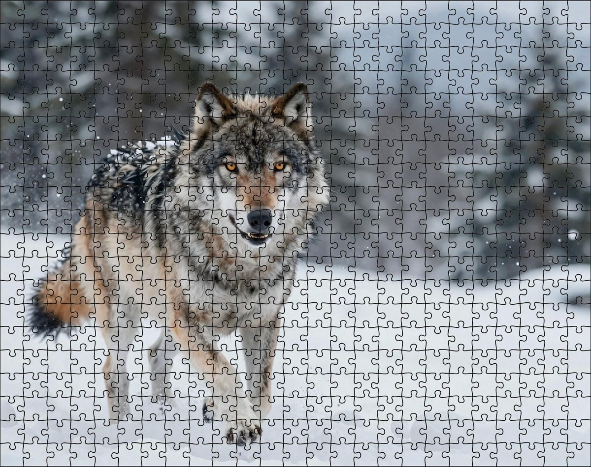 Fotopuzzel Wolf 'Snowstorm Charge' | Liggend - Stukjes Geluk
