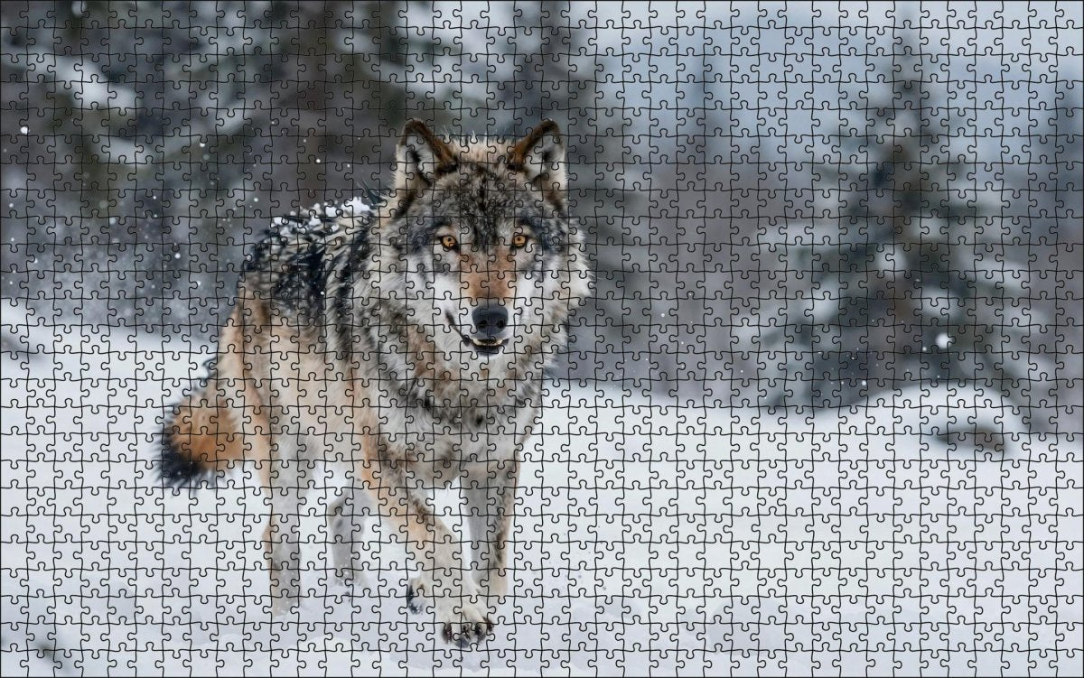 Fotopuzzel Wolf 'Snowstorm Charge' | Liggend - Stukjes Geluk