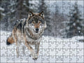 Fotopuzzel Wolf 'Snowstorm Charge' | Liggend - Stukjes Geluk