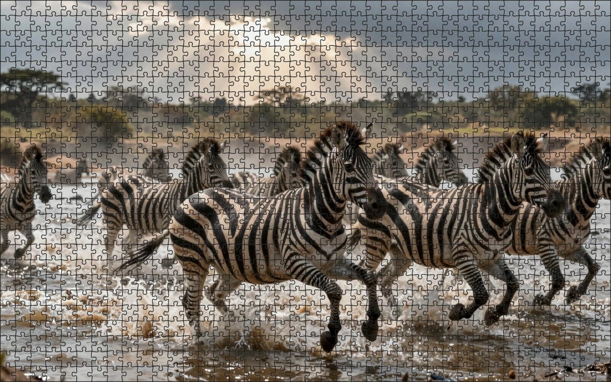 Fotopuzzel Zebra 'River Crossing Chaos' | Liggend - Stukjes Geluk