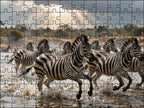 Fotopuzzel Zebra 'River Crossing Chaos' | Liggend - Stukjes Geluk