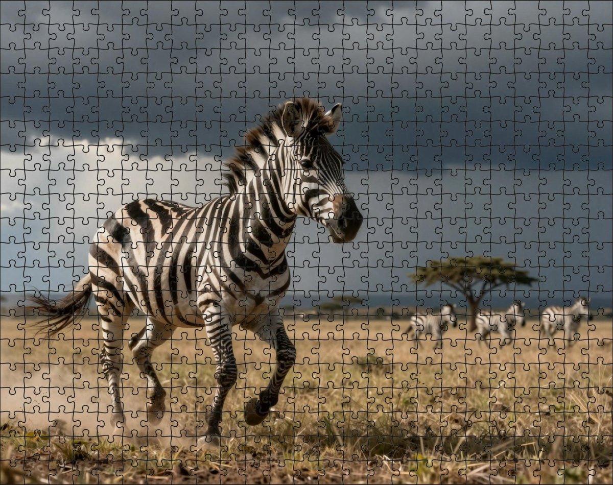 Fotopuzzel Zebra 'Storm Chase on the Plains' | Liggend - Stukjes Geluk